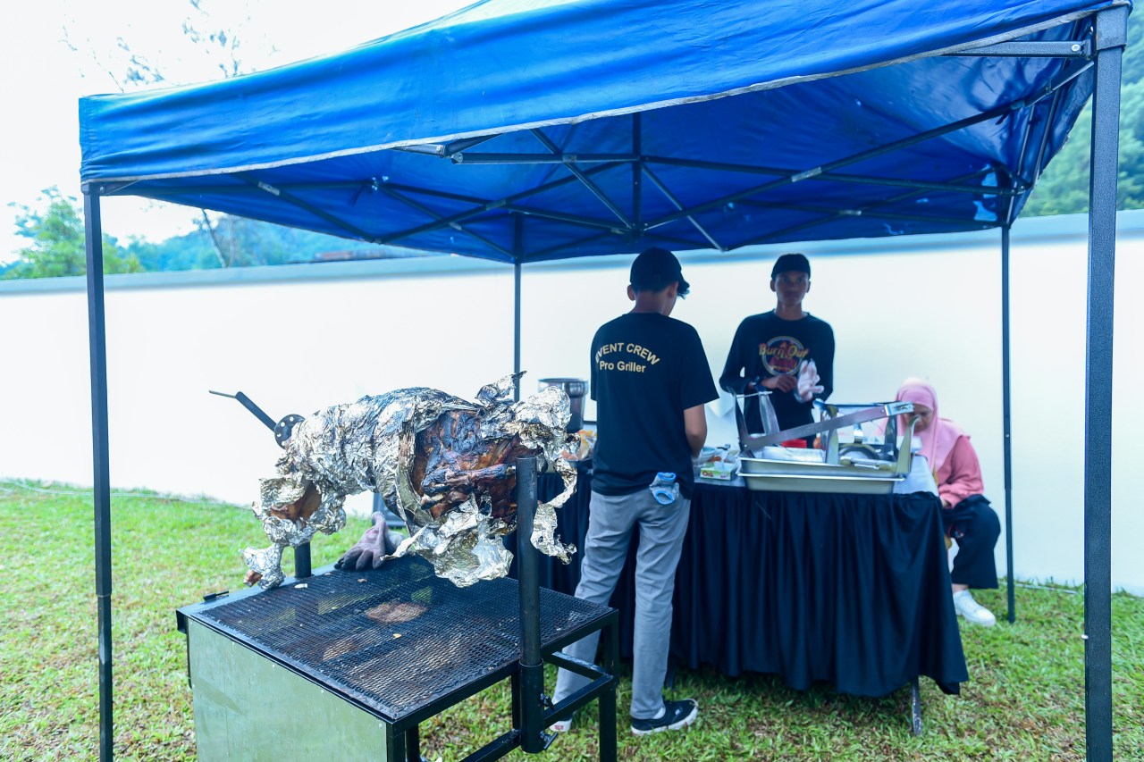 lamb live station